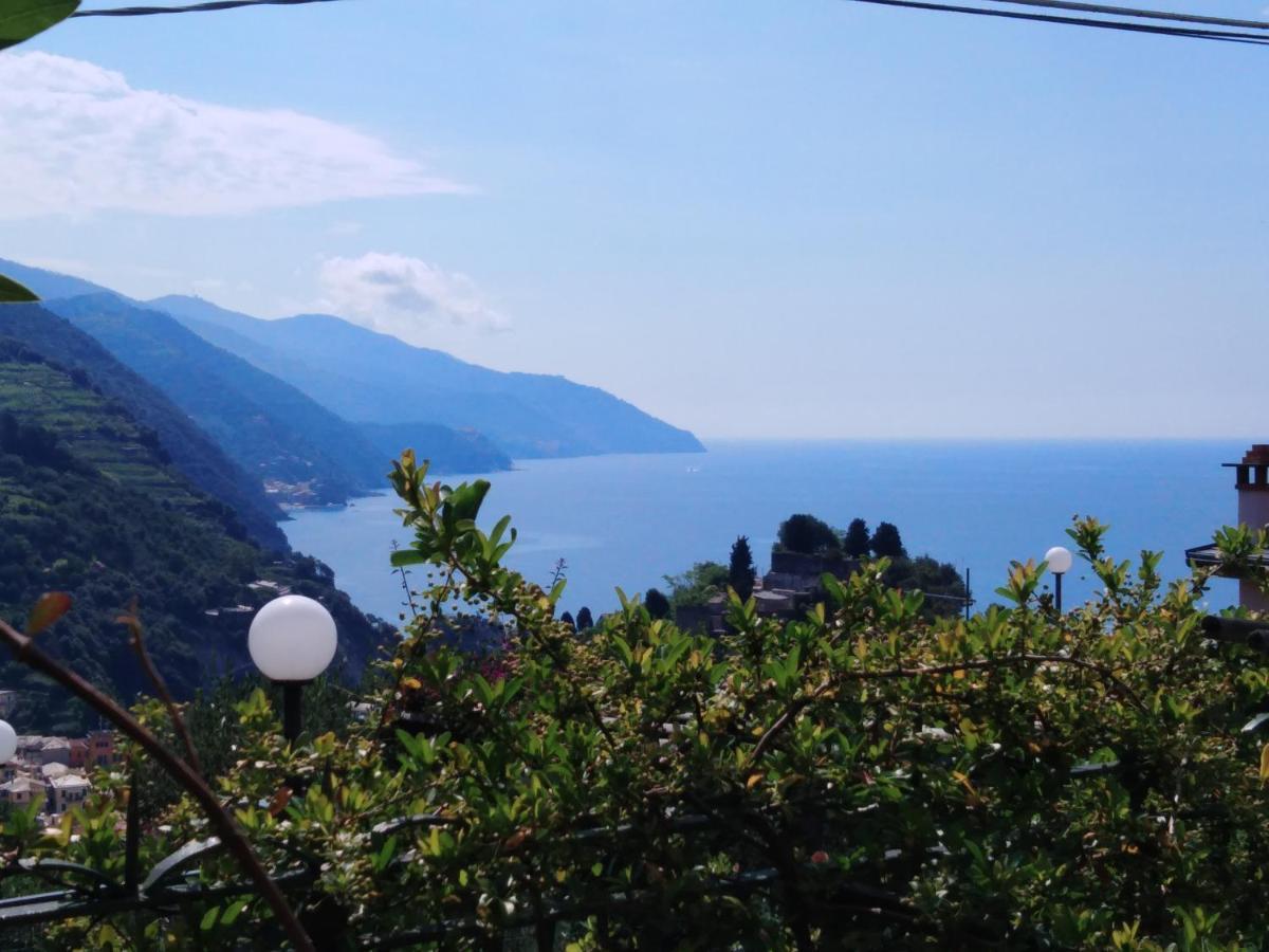 La Cabana Cinque Terre Monterosso Monterosso al Mare Exteriér fotografie