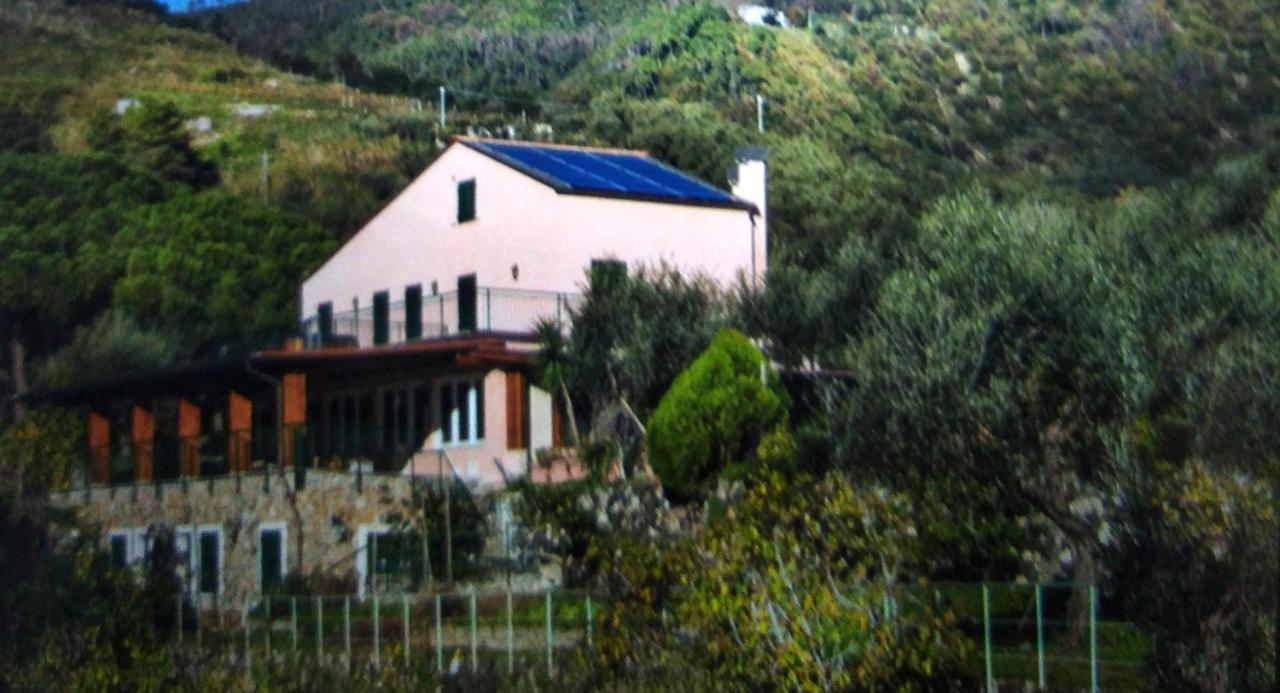 La Cabana Cinque Terre Monterosso Monterosso al Mare Exteriér fotografie